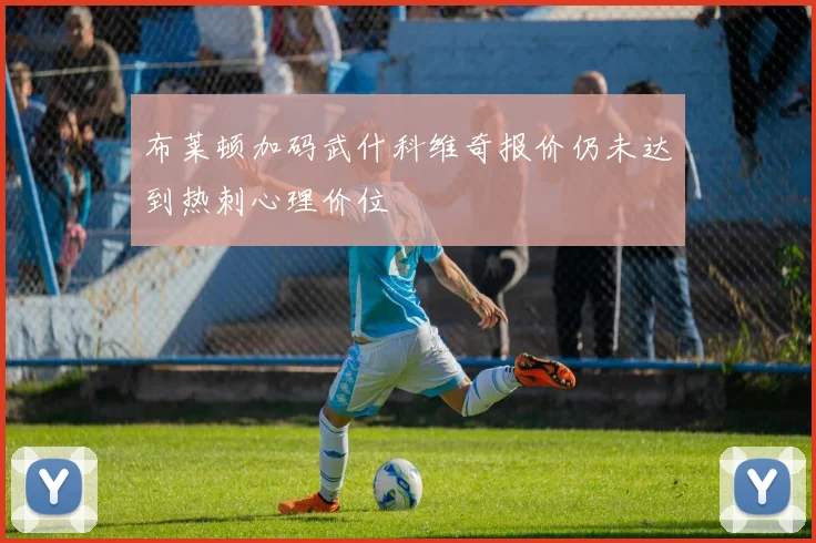 布莱顿加码武什科维奇报价仍未达到热刺心理价位