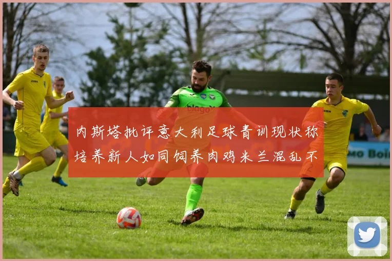 内斯塔批评意大利足球青训现状称培养新人如同饲养肉鸡米兰混乱不堪